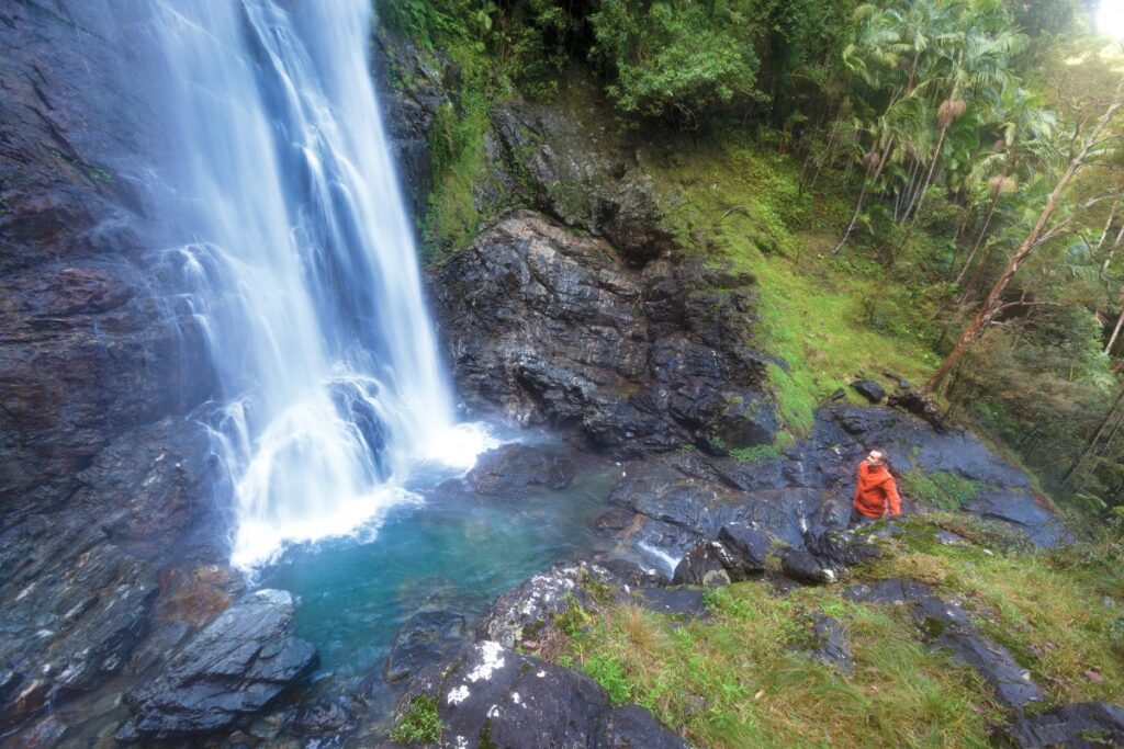 port macquarie things to do