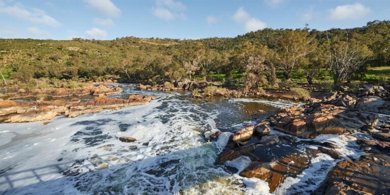 Tour Guide to the Bells Rapids Hike 2024 Perth Australia