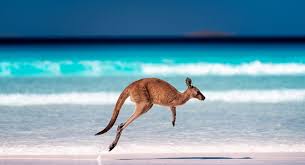 AUSTRALIA BEST BEACHES
